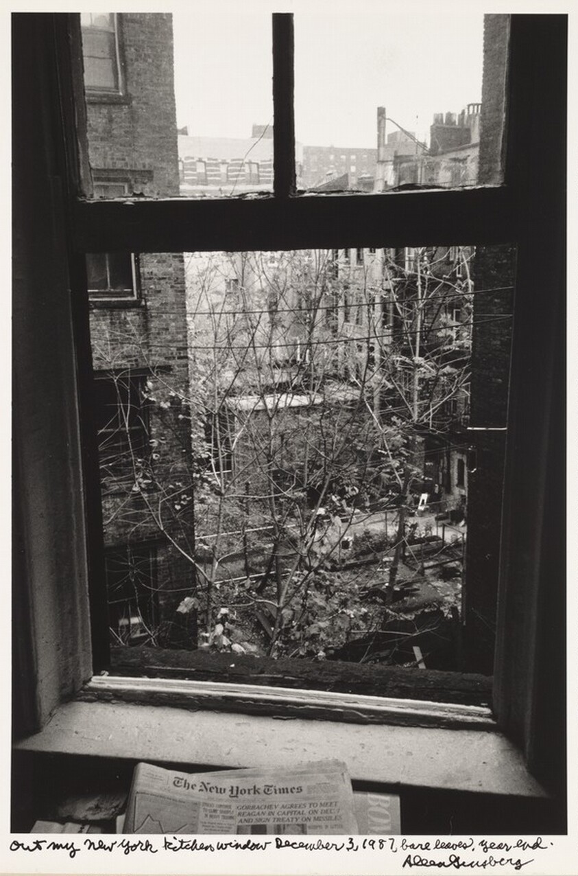 Out my New York kitchen window December 3, 1987, bare leaves, year end.