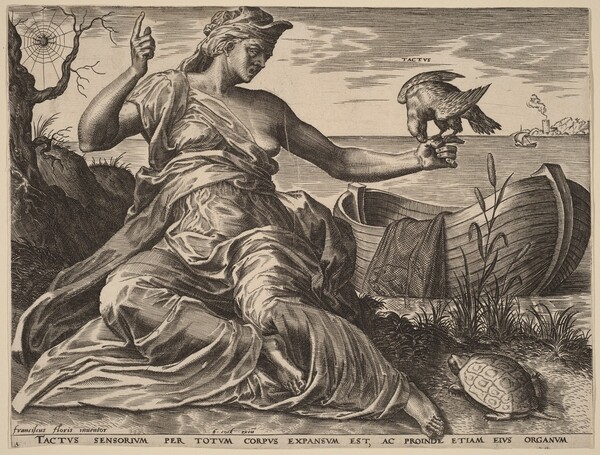 Tactus (Touch)
