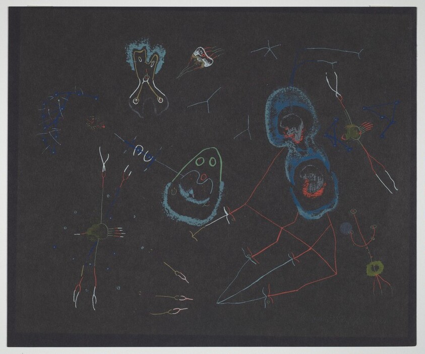 Microscopic Creatures from the Ocean Deep