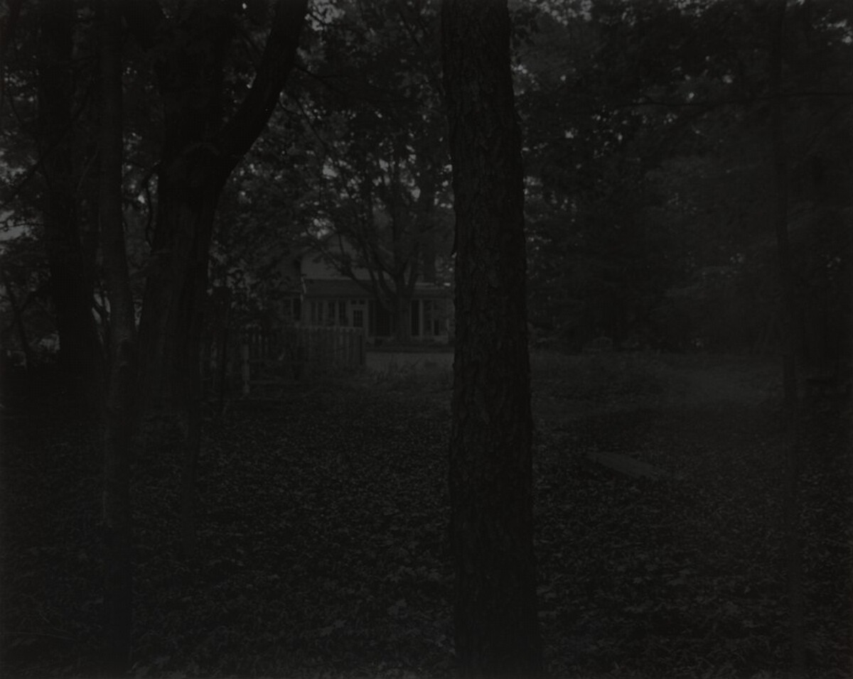 Untitled #2 (Trees and Farmhouse)