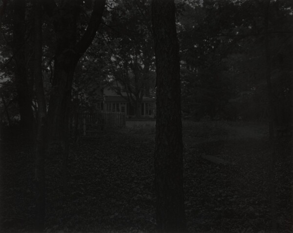 Untitled #2 (Trees and Farmhouse)