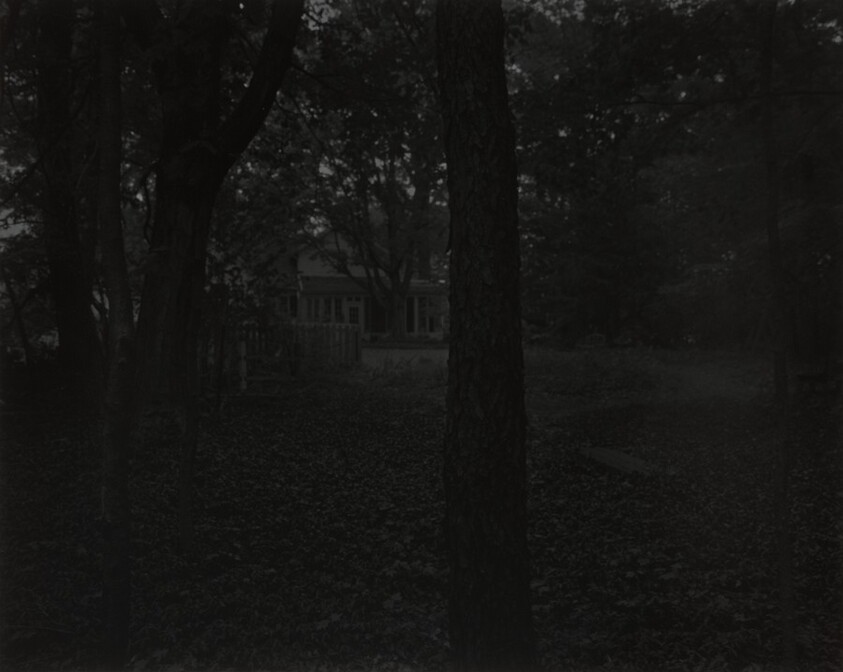 Untitled #2 (Trees and Farmhouse)