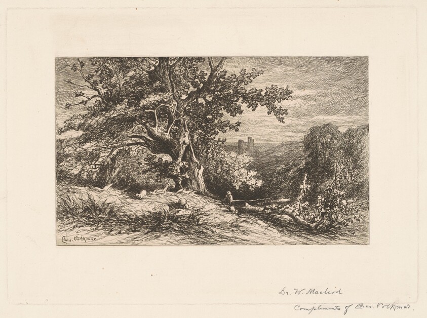 Landscape with Fallen Tree