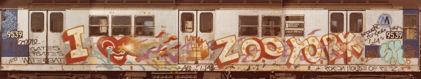 I Love Zoo York by Ali