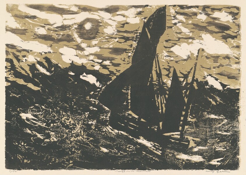 Swift in the Moonlight