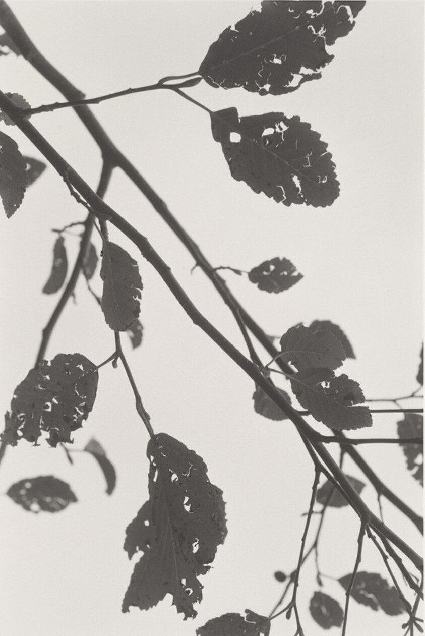 Neahkahnie Mountain, Oregon