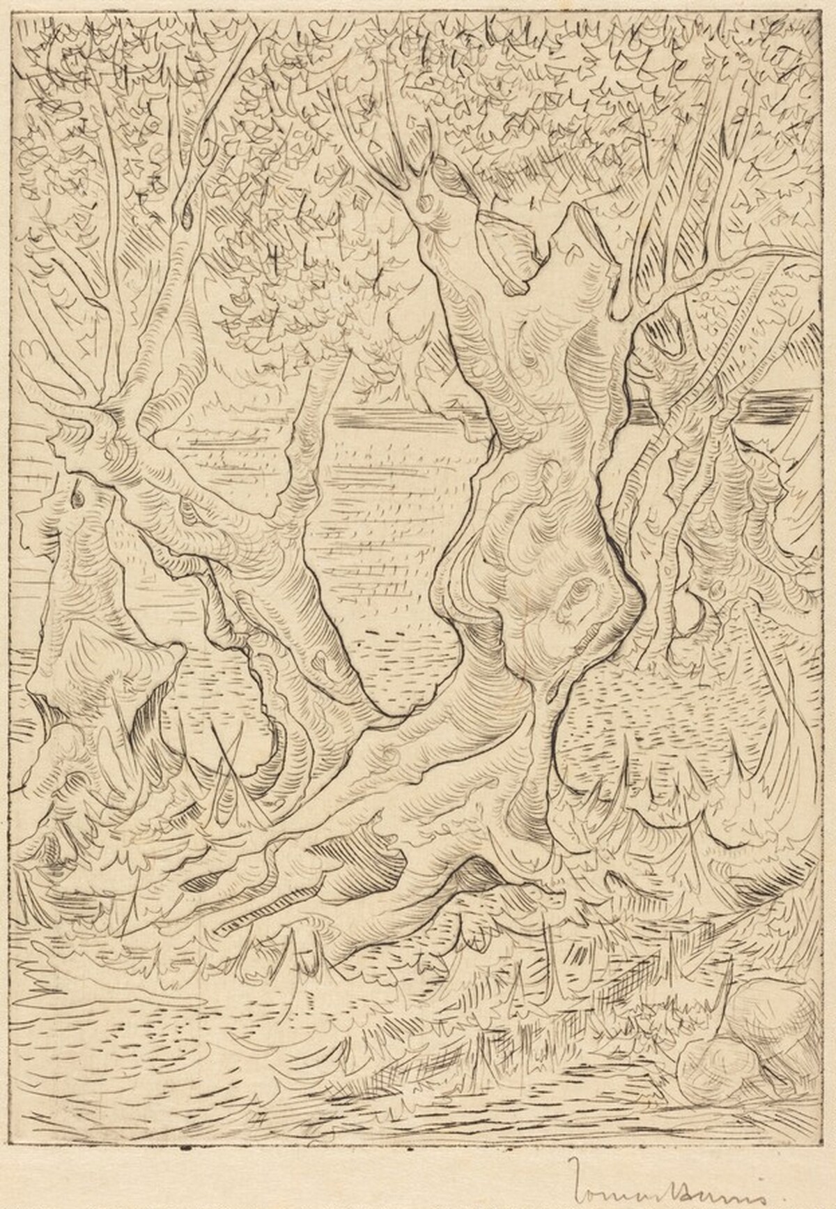 Group of Trees