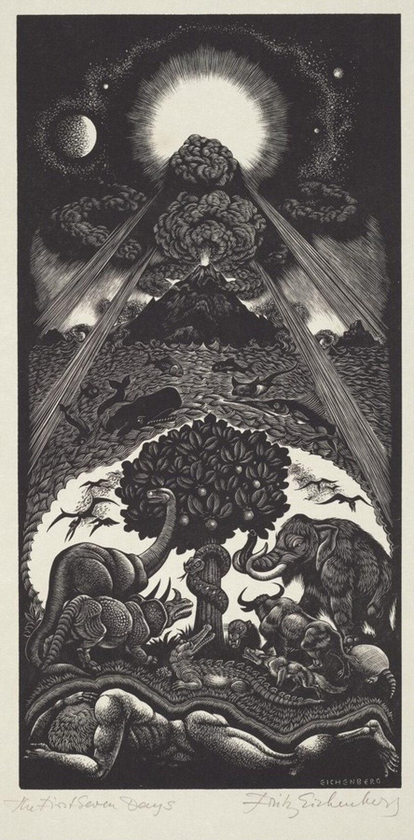 The First Seven Days