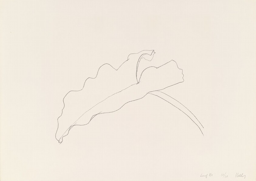 Leaf VIII