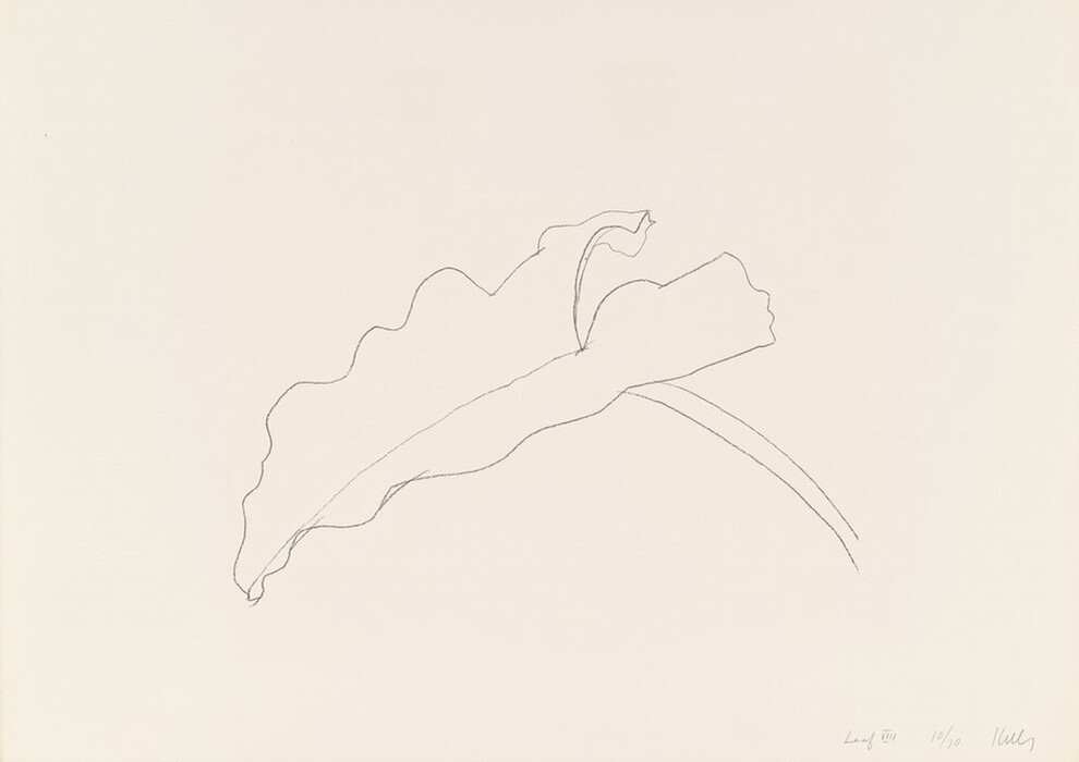 The image shows a large, simple line drawing of a leaf with a wavy edge in the upper center. The background is cream-colored with a black outline for the drawing. The leaf extends from the left to the right, with a stem starting from the lower right, curving upward and then descending with an arch.