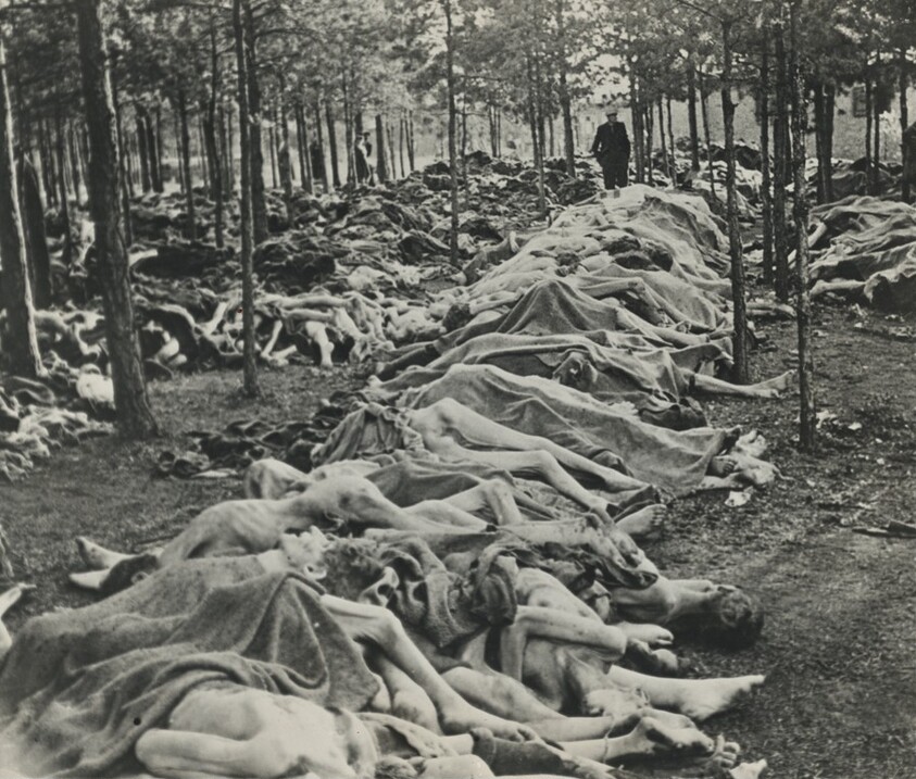 Concentration Camps, Atrocities of War