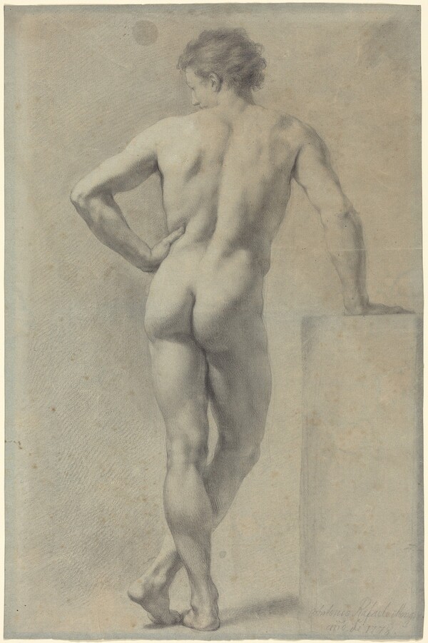 Male Nude Study
