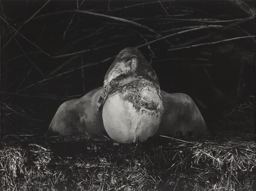 From "Erinnerungsspur" (Memory's Trace)