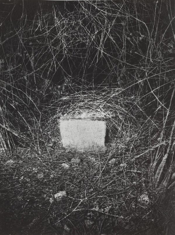 Erinnerungsspur--Statische Vibration (Memory's Trace--Static Vibration)