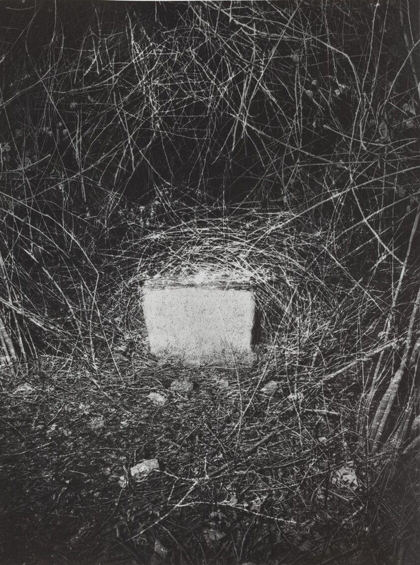 Erinnerungsspur--Statische Vibration (Memory's Trace--Static Vibration)