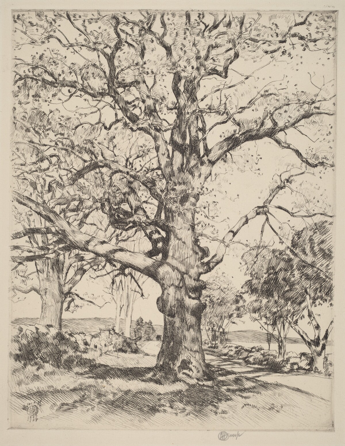 Wayside Inn—Oaks in Spring