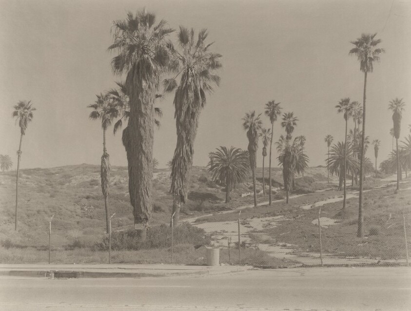 Vista Del Mar (Via LAX)