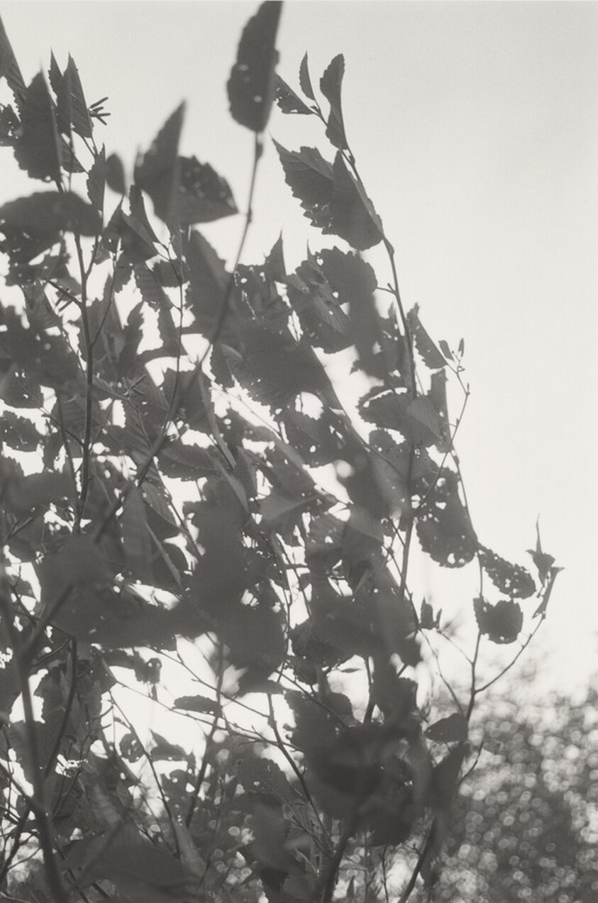 Neahkahnie Mountain, Oregon