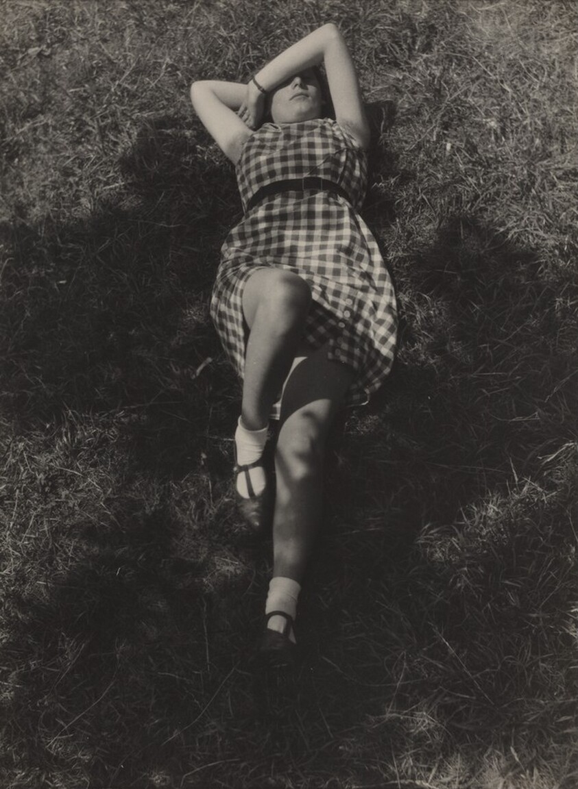 Fa alatt (Kata Kálmán) (Under a tree [Kata Kálmán])