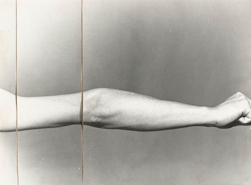 Progetto per la dilatazione di un braccio nel muro (Project for the expansion of an arm in the wall)