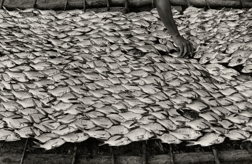 Pescaditos de Oaxaca, México (Little Fish From Oaxaca, Mexico)