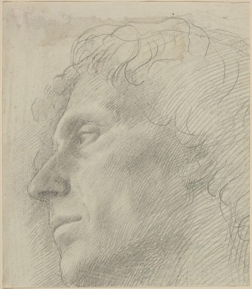 Head of a Man Facing Left
