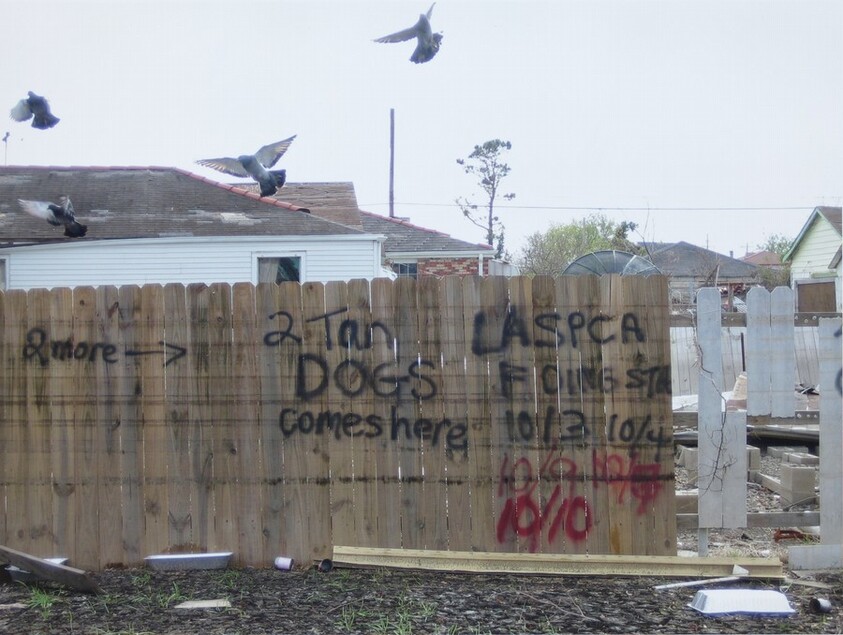 Untitled [New Orleans and the Gulf Coast, 2005]