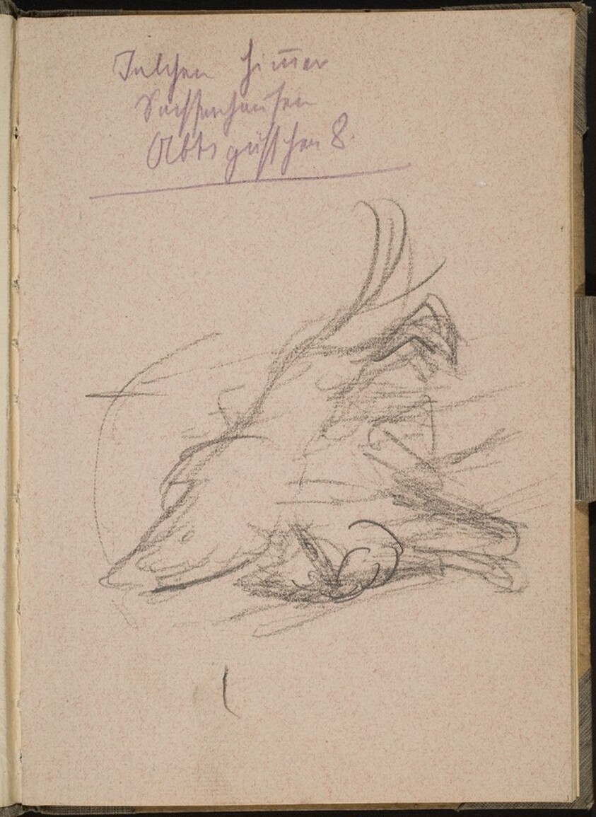 Löwenstudie, Notizen (Lion, Notation) [p. 1]