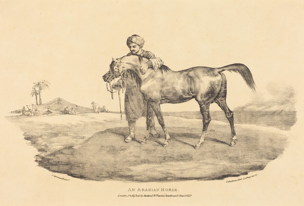 An Arabian Horse
