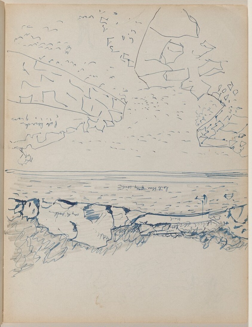 Studies of the Rocky Shore