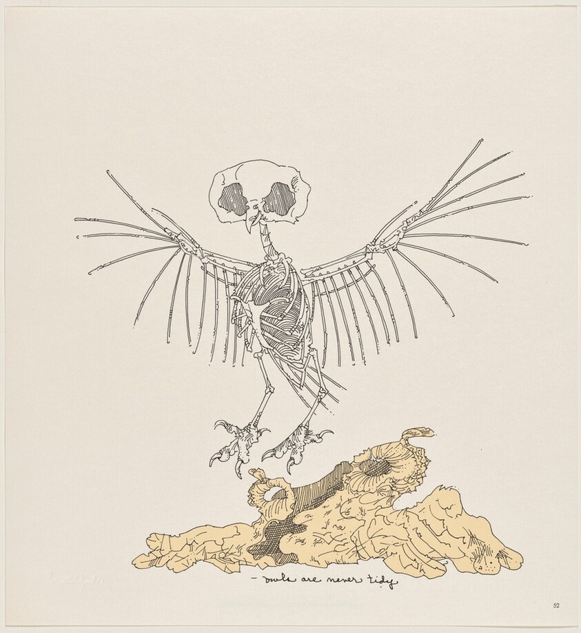 Owl Feathers: page 52