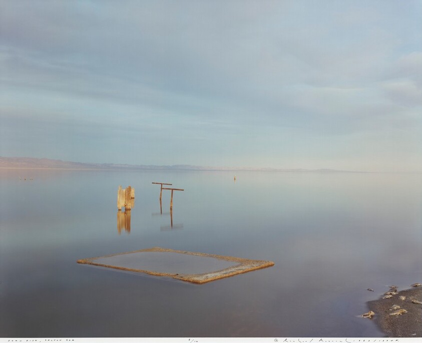 Dead Fish, Salton Sea, California