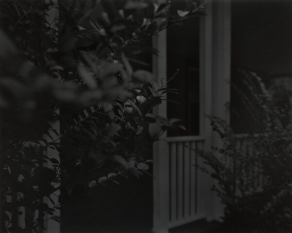 Untitled #4 (Leaves and Porch)