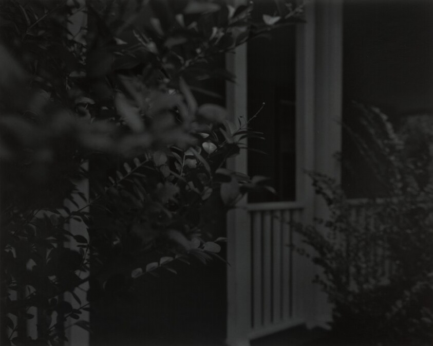 Untitled #4 (Leaves and Porch)