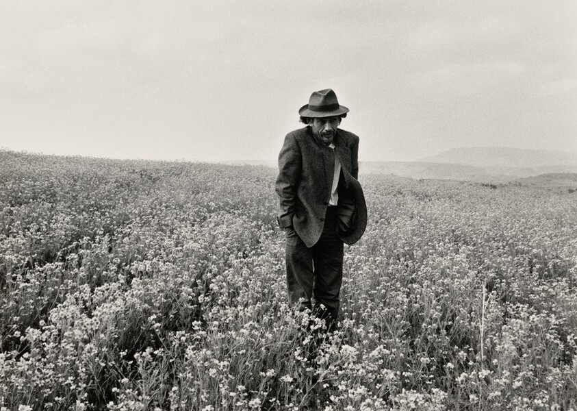 Francisco Toledo, Guanajuato, México