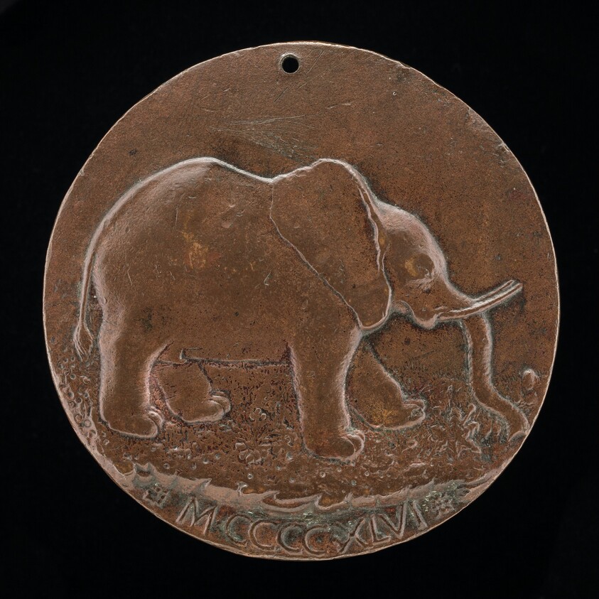 The Malatesta Elephant in a Meadow [reverse]