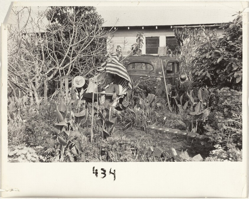 Backyard—Venice West, California