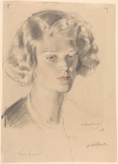 Study of Head