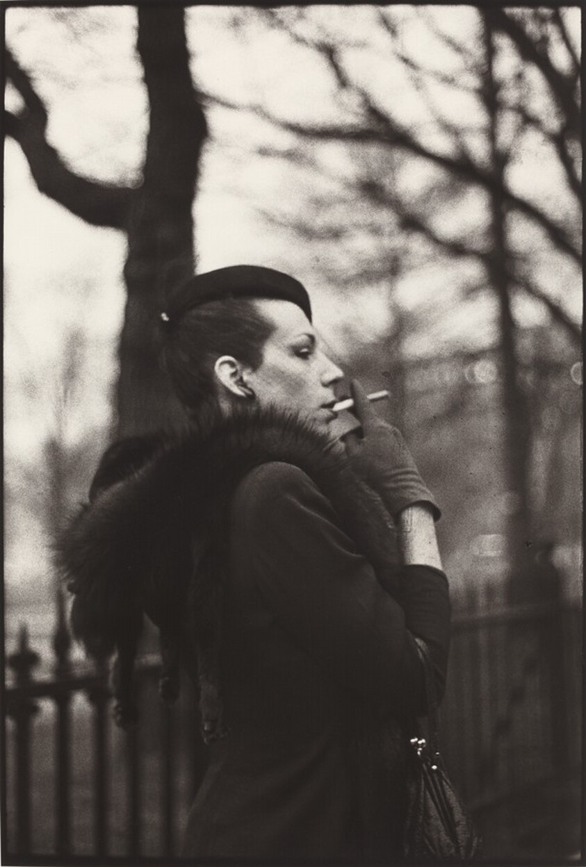 Ivy in the Boston Garden