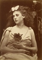 The Sunflower, Julia Margaret Cameron, early 1870s