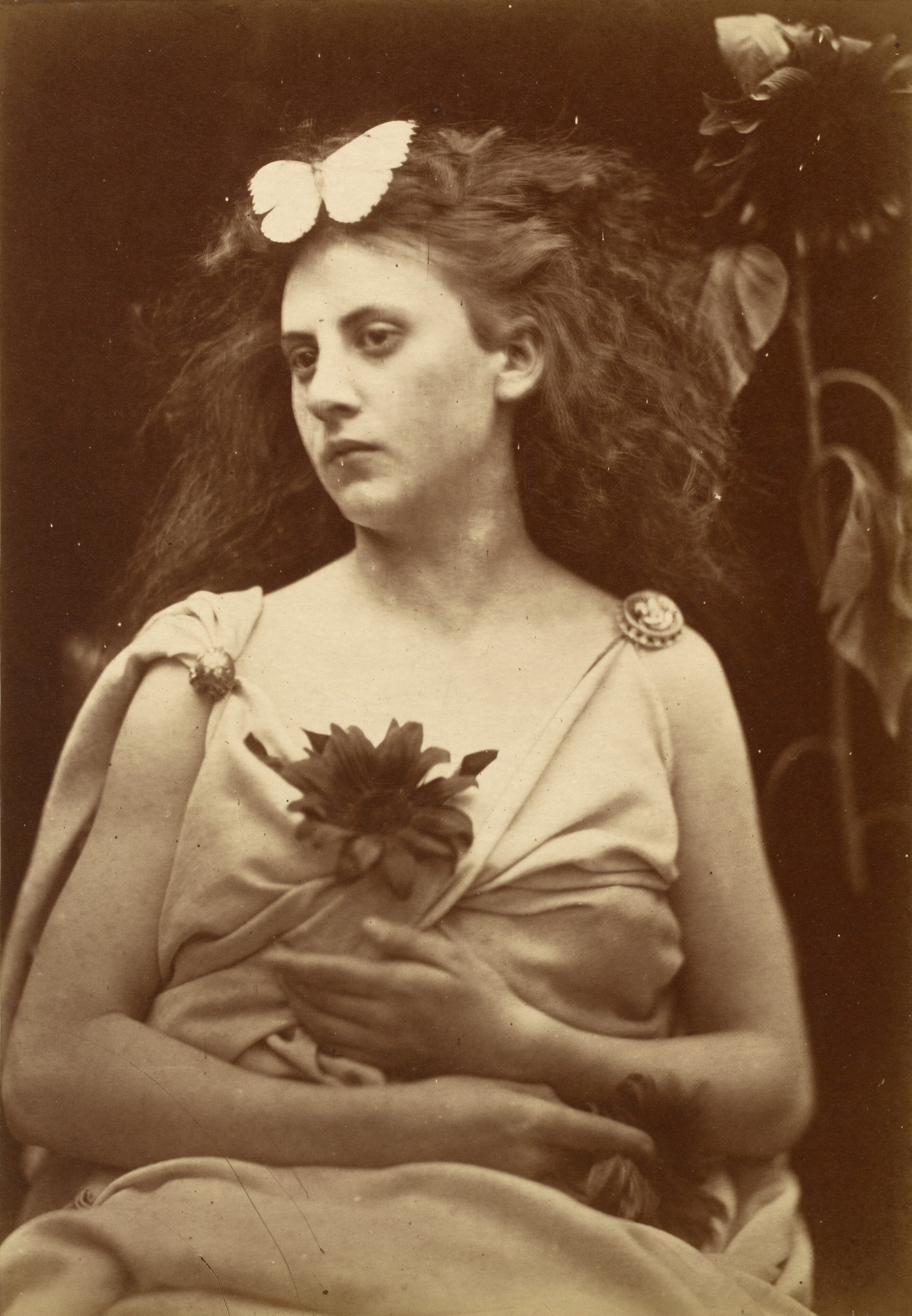 Julia Margaret Cameron | National Gallery of Art