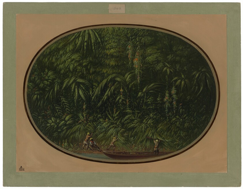 Shore of the Trombetas