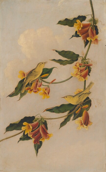 A branch with long, bell-shaped golden-yellow flowers and dark green leaves drops from near the top right corner of this vertical painting. Four clusters of four or five blossoms each are spaced along two branches that fork from the main stem. Each flower is russet-red or burnt orange on the outside of the long petals, which flare to reveal a vivid yellow interior. Two yellow birds perching among the flowers are easily overlooked at first glance. The birds are small, about the size of each cluster of blossoms. They each stand on a branching stem and both face inward. The branches are outlined against a hazy blue sky with soft billowing clouds.