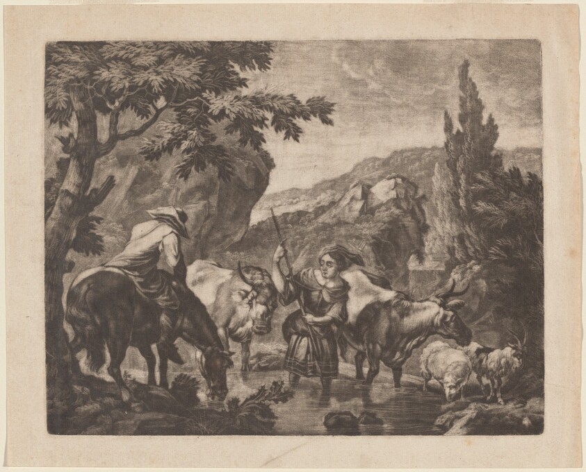 Cattle Fording a Stream