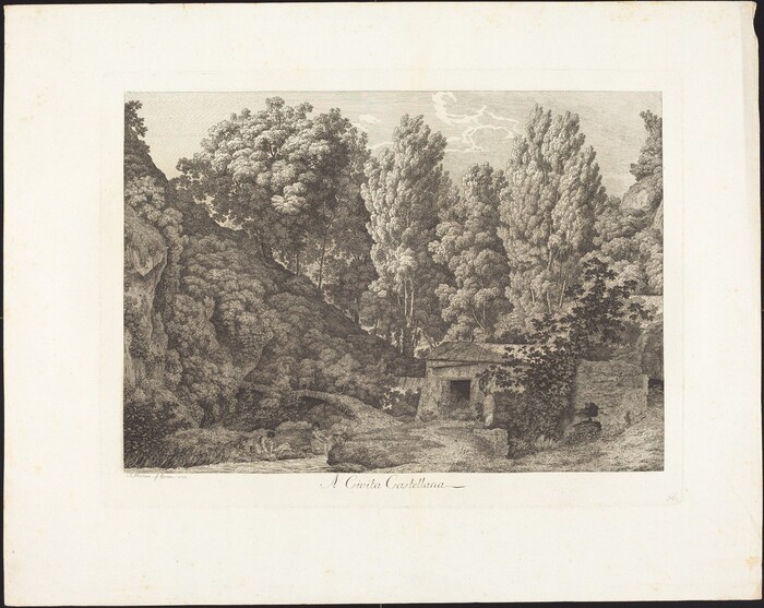 The image is a monochrome print depicting a view from an elevated position looking down on a natural scene. Closest to the viewer is a rustic building partially covered by lush foliage. In the distance, there are trees with dense foliage dominating the horizon. The landscape is rendered with detailed linework typical of engraving, creating a textured depiction. The color palette consists of shades of black and grey, setting a somber tone for the tranquil scene.
