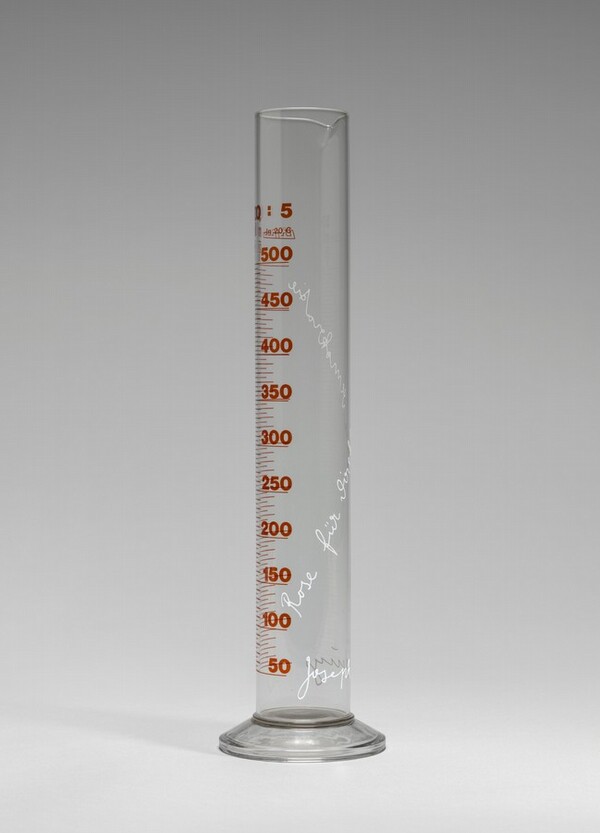 Rose for Direct Democracy