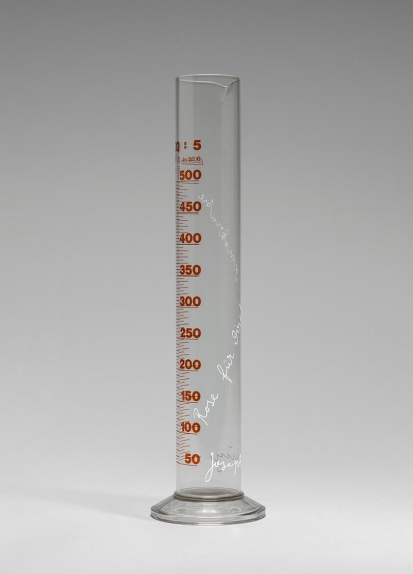 Rose for Direct Democracy