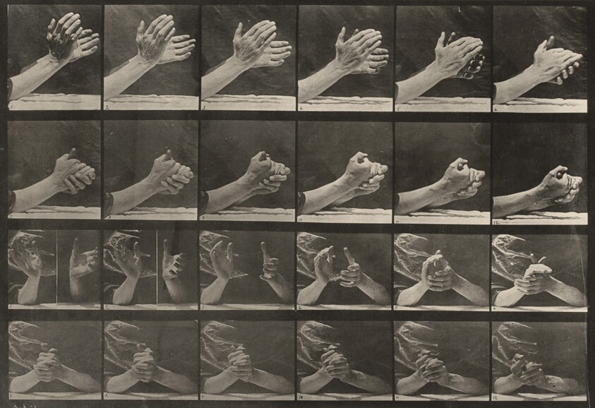 Plate Number 533. Movement of the hand, clasping hands
