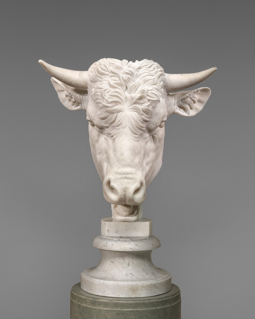 Head of a Bull