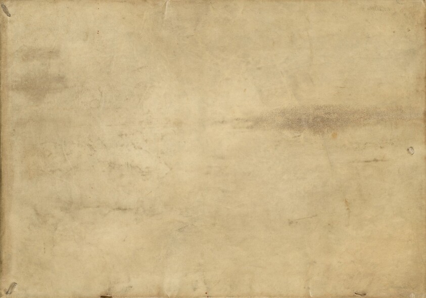 Avium Vivae Icones (Living images of birds)